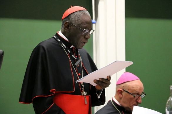 cardinal sarahs talk to sacra