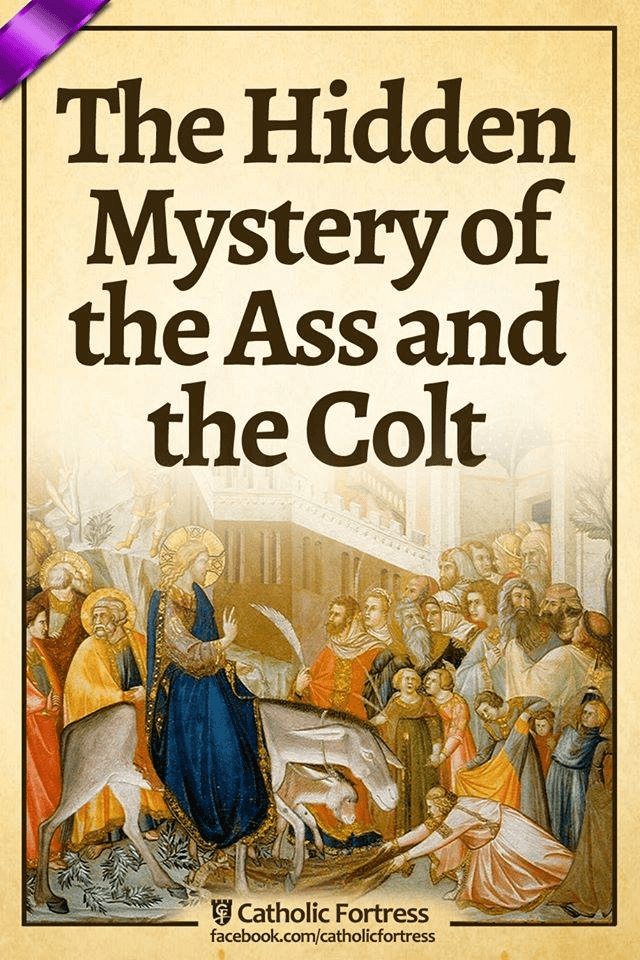 The Hidden Mystery of the Ass and the Colt