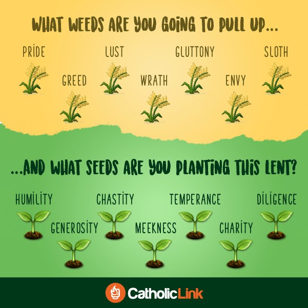 What weeds are you going to pull up and what seeds are you planting this Lent