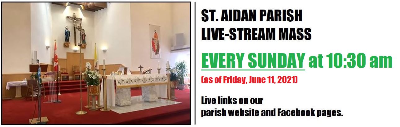 livestream mass sundays at 1030 am livestream mass sundays at 1030 am